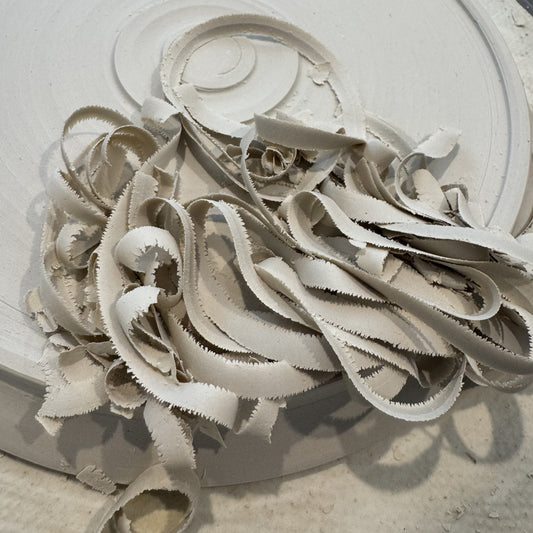 2026 Term 2 - Wednesday evening wheel throwing with Danya Cahalan